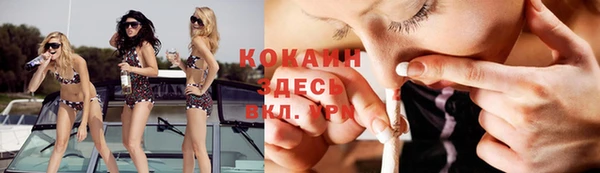 мяу мяу мука Абинск