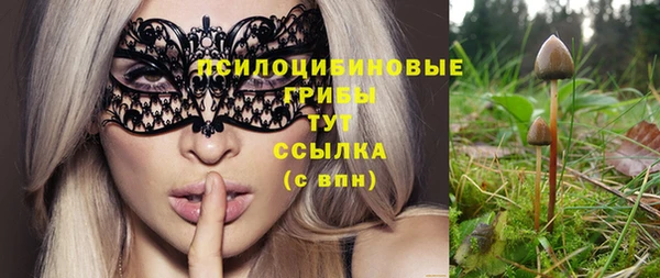 мяу мяу мука Абинск